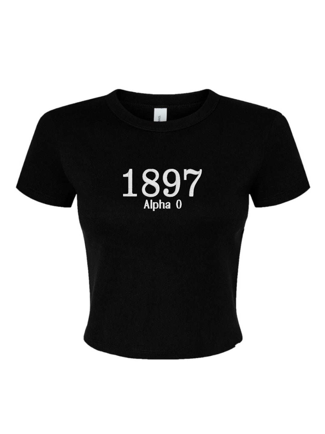 Embroidered Sorority Year Crop Top