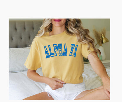 Sorority Varsity Chapter Shirt / Custom Color Greek Embroidered Comfort Colors T Shirt