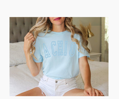 Sorority Varsity Chapter Shirt / Custom Color Greek Embroidered Comfort Colors T Shirt