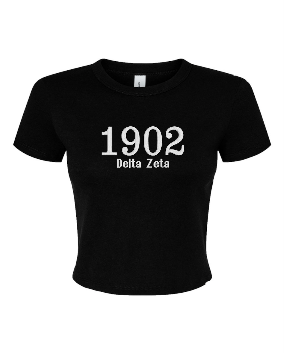 Embroidered Sorority Year Crop Top