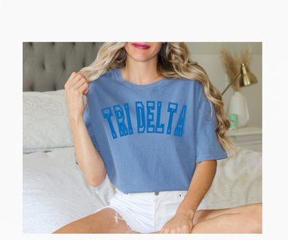 Sorority Varsity Chapter Shirt / Custom Color Greek Embroidered Comfort Colors T Shirt