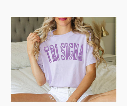 Sorority Varsity Chapter Shirt / Custom Color Greek Embroidered Comfort Colors T Shirt
